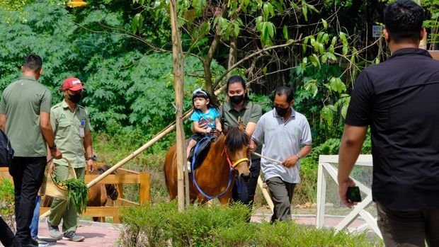 Jokowi Ajak Jan Ethes Liburan ke Solo Safari: Naik Kuda-Pegang Ular